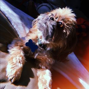 Meet your Posher, Emma